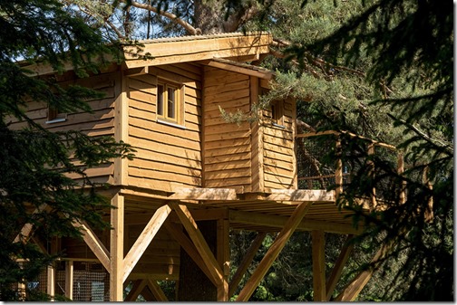 S'isoler dans une cabane dans les arbres?